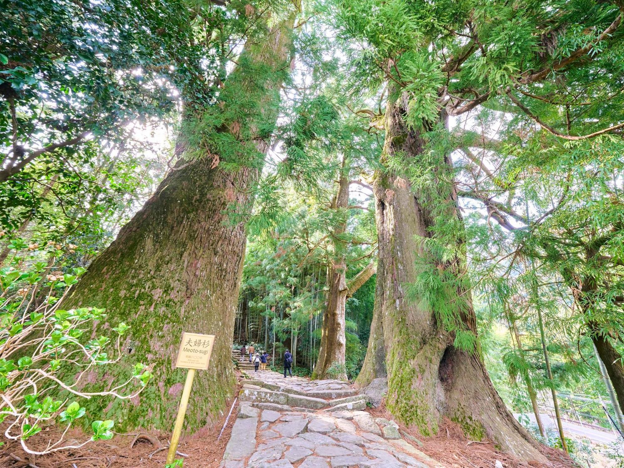 Kokoyui Country house
